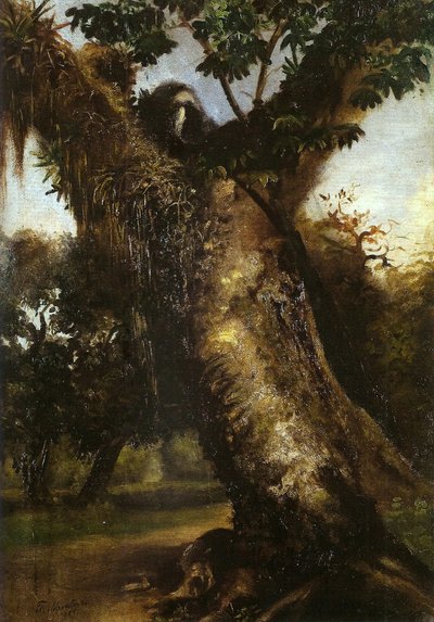 Landscape by Antonio Firmino Monteiro